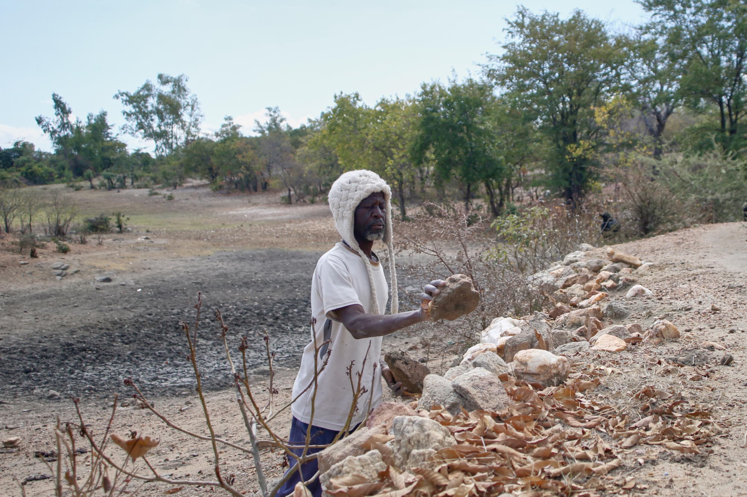 Sécheresse grave au Zimbabwe : absence de récolte, absence de nourriture.