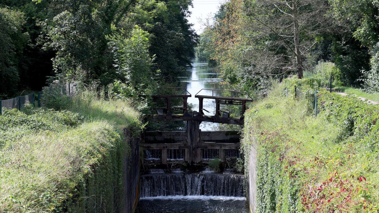 New Renovation du vieux canal : Entre espoir économique et alerte environnementale !