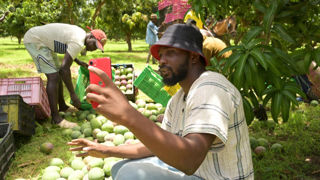 Agro-influenceurs : Comment le Sénégal Révolutionne l’Agriculture en Ligne