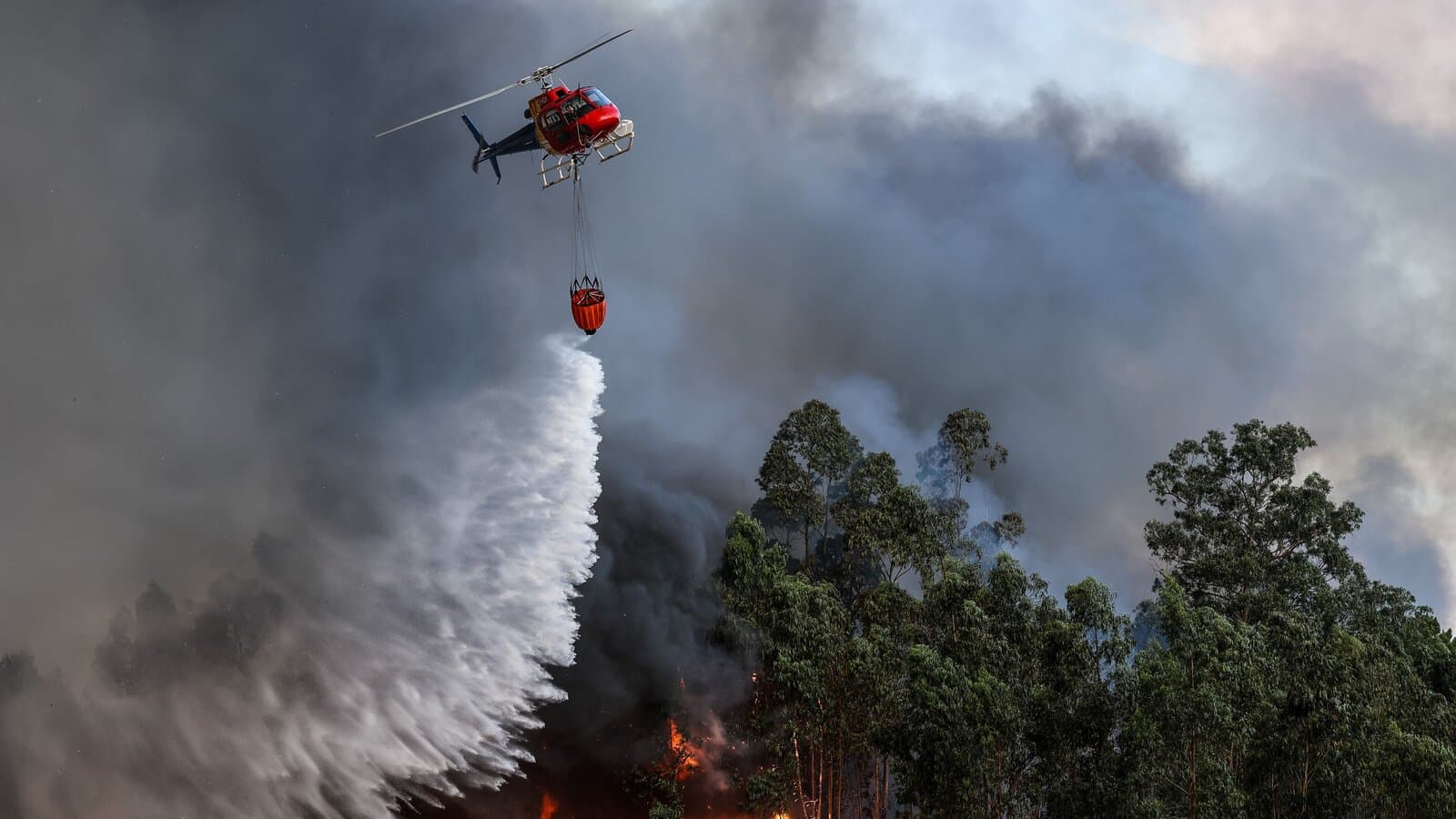 Portugal en Flammes! Des Villages Évacués et des Victimes